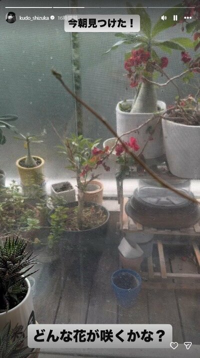 工藤静香のInstagramストーリーズ投稿