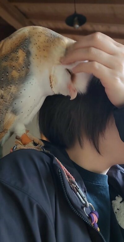 投稿動画のワンシーン