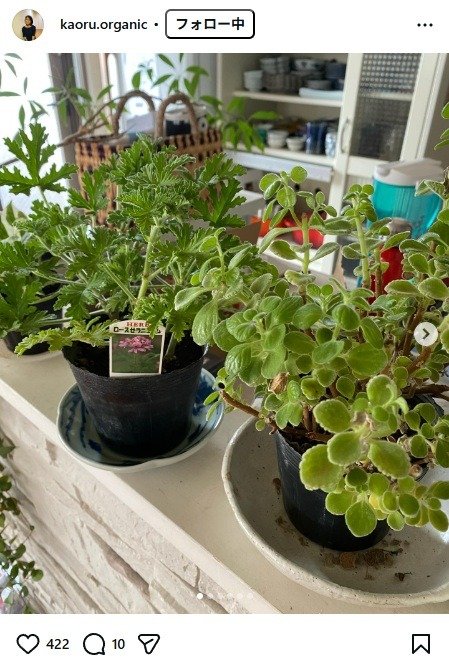 出所：杉田かおるのInstagram（＠kaoru.organic）　参照日：2026年3月13日