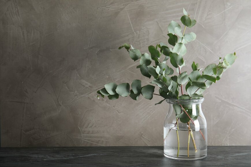 New Africa/Shutterstock.com