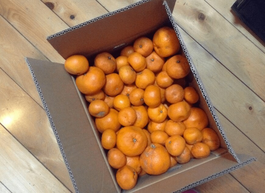 みかん（筆者撮影）