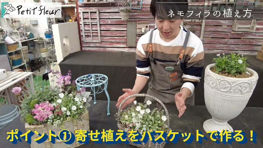 出所：@petit_fleur