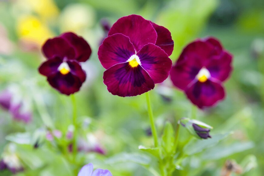 TatianaNurieva/istockphoto.com