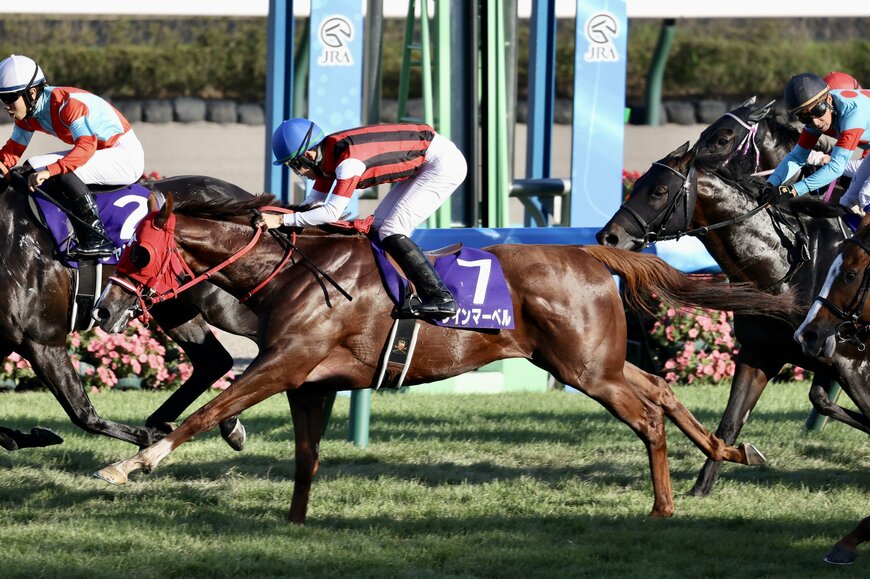 出所：@himaromiyaさん