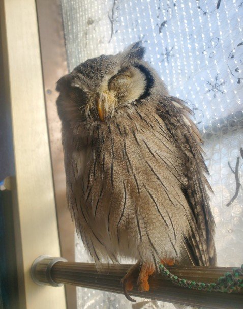 出所：@khmFvyd8Z1Xt4rB