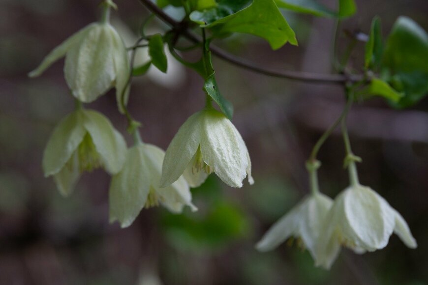 Barbara Gabay/istockphoto.com