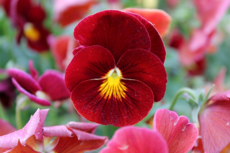 Abdulkadir ARSLAN/istockphoto.com