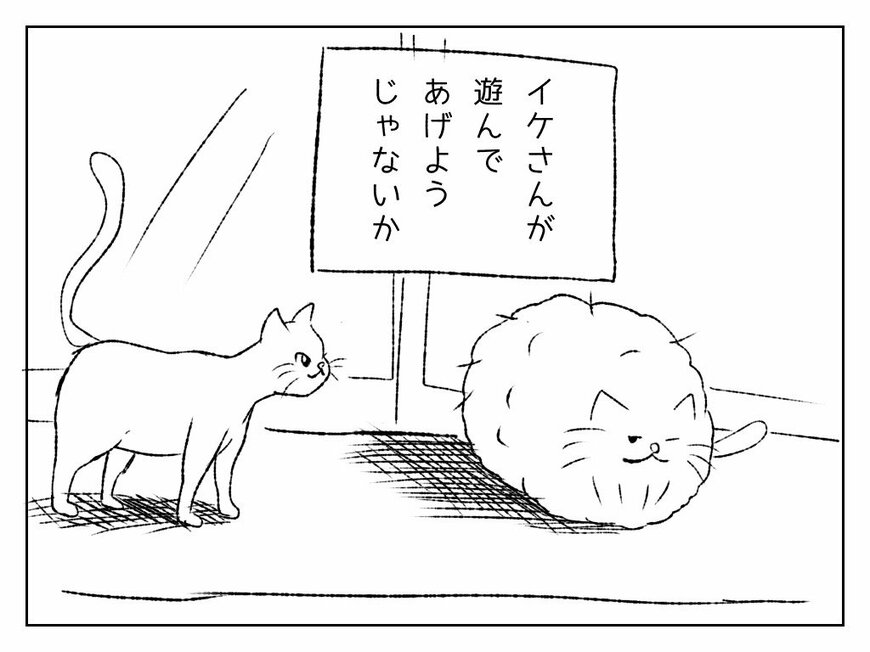 クールで知的。でも実は…!?  モコモコ過ぎる猫「モコ」のお友だちはこんな猫。