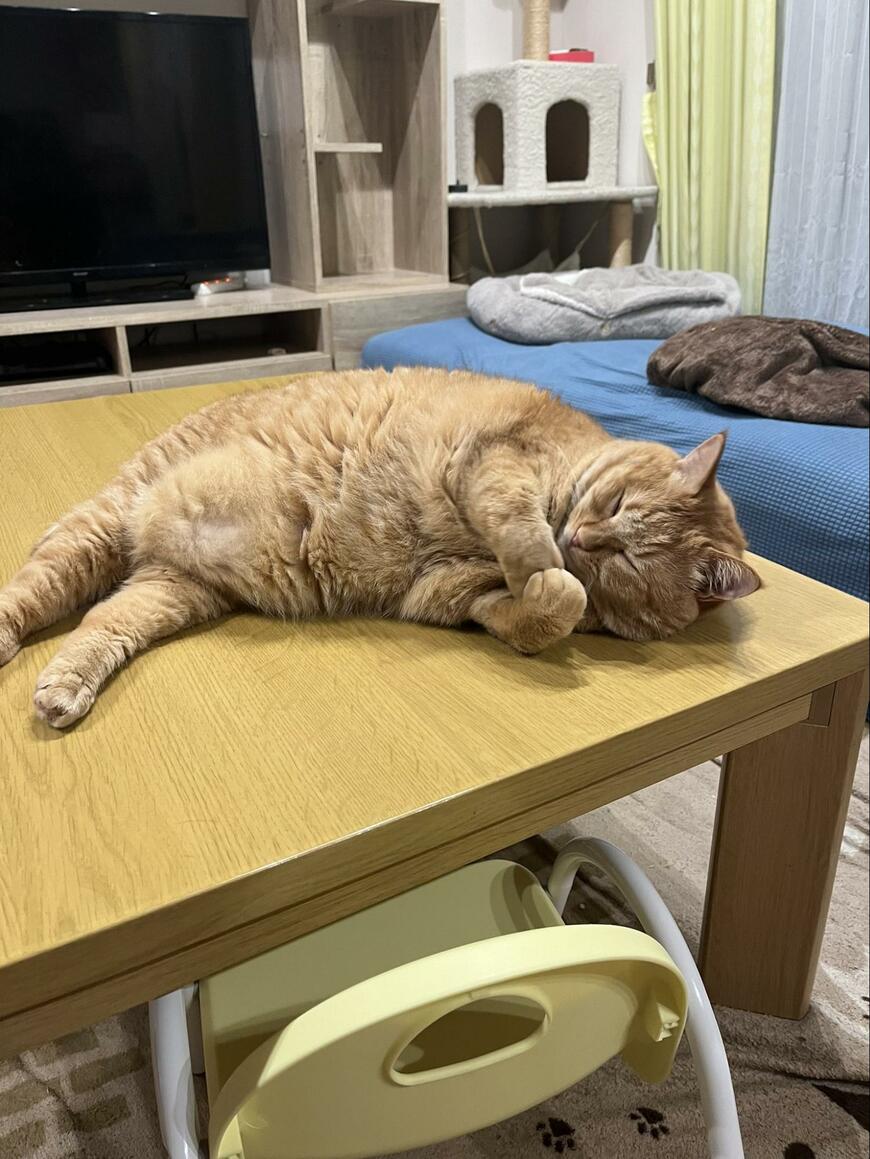 出所：@kagisuzu0531