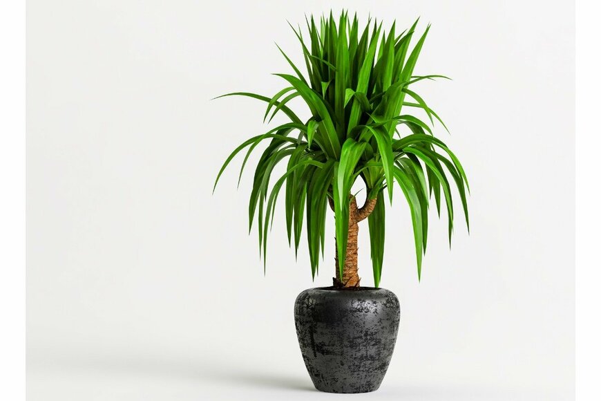 Aphap/istockphoto.com