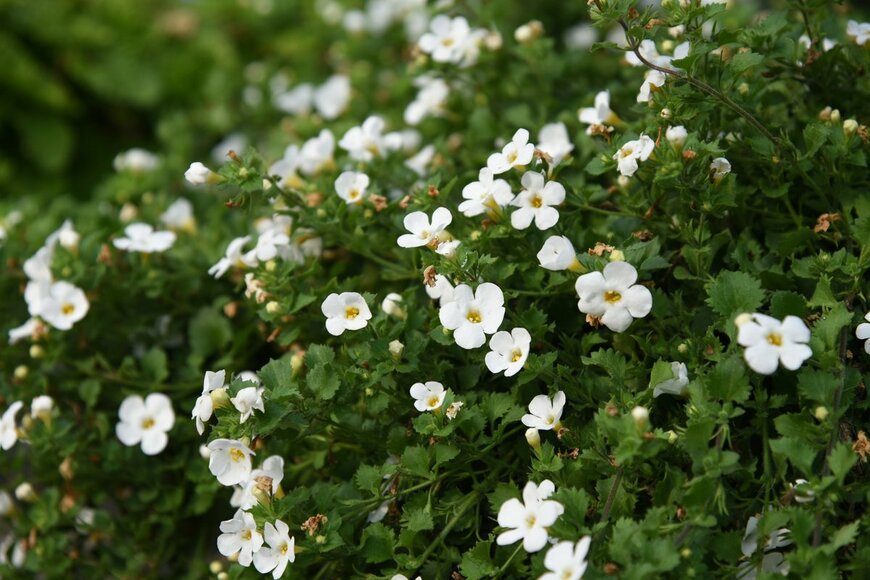 photoPOU/Shutterstock.com