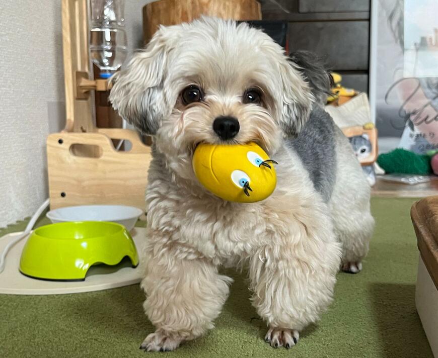 出所：@potage_0924