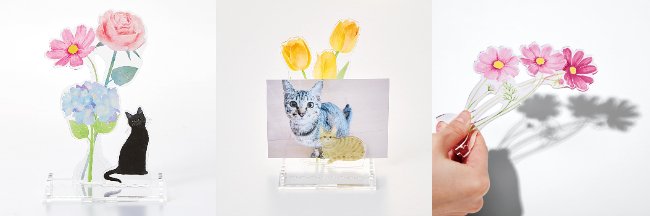 出所：株式会社フェリシモ『猫との暮らしに花を添えてくれる「いつまでも美しい お花のアクリルスタンドトレイ」がフェリシモ「猫部(TM)」から新登場』