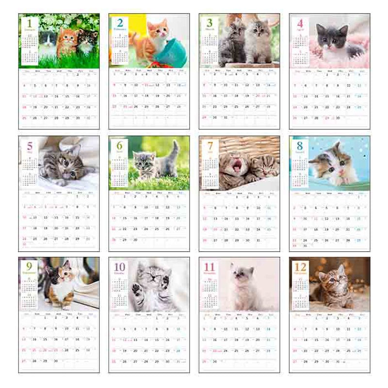 出所：キャンドゥ公式　26カレンダー　A3　ネコ写真