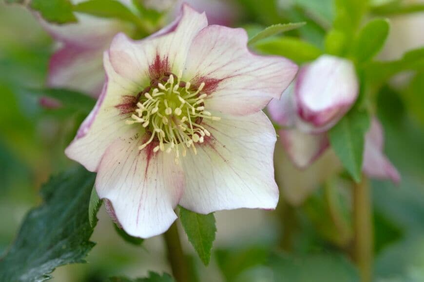 shepherdsatellite/shutterstock.com