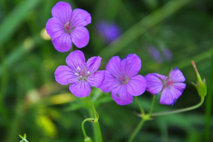 Orest Lyzhechka/istockphoto.com