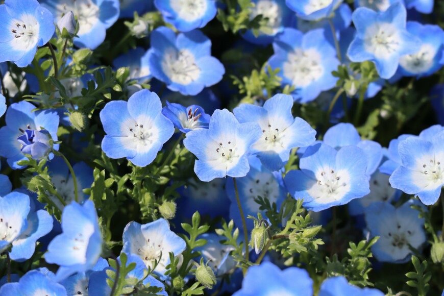 yokoken/istockphoto.com