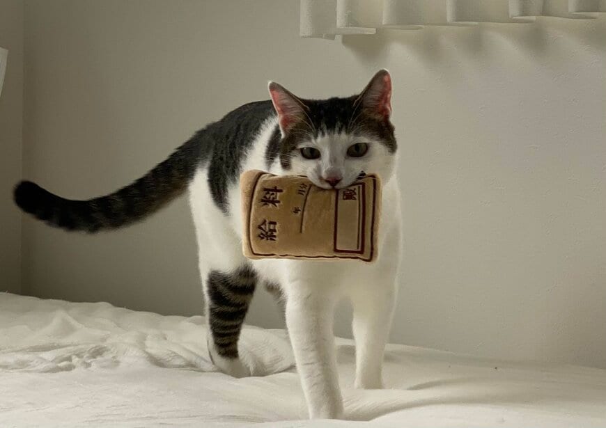 出所：@Saeroyi_cat