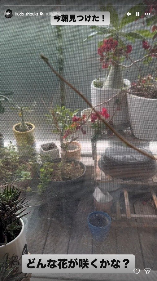 出所：工藤静香のInstagram（＠kudo_shizuka）　参照日：2026年4月10日