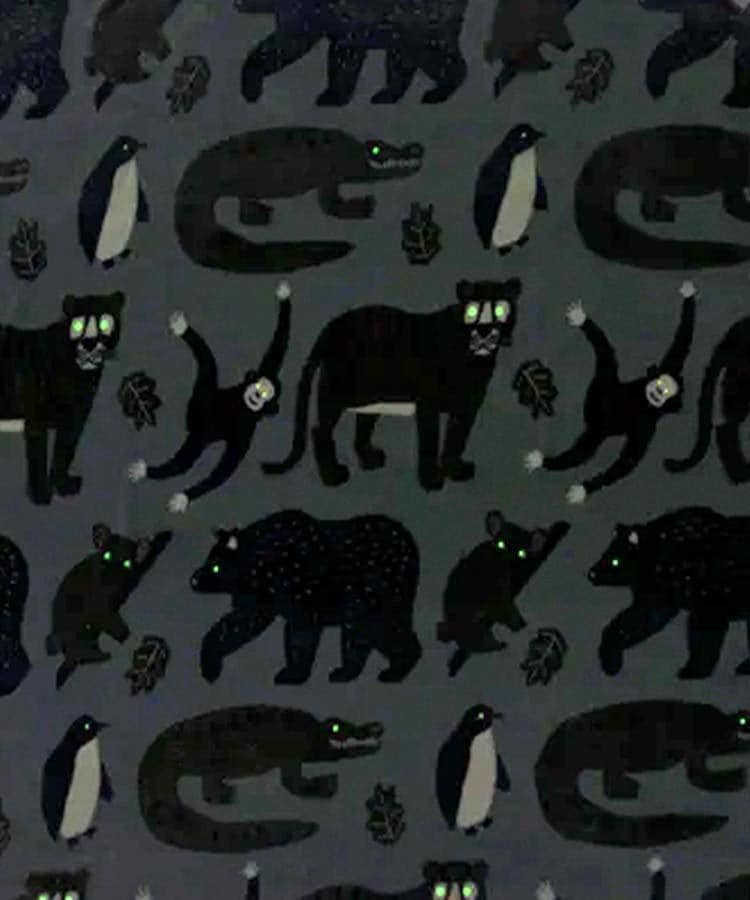 出所：Bleu Bleuet（ブルーブルーエ）公式通販 ファニーブランケットL