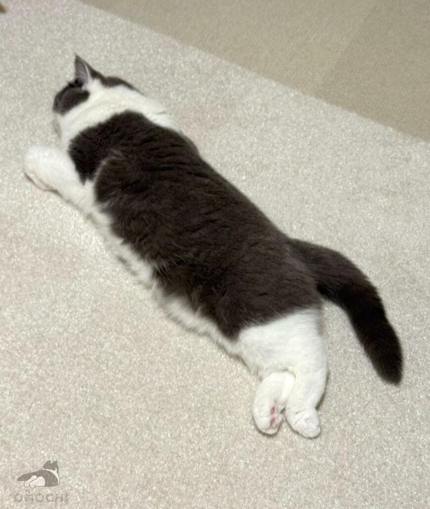 出所：@omochiomoching