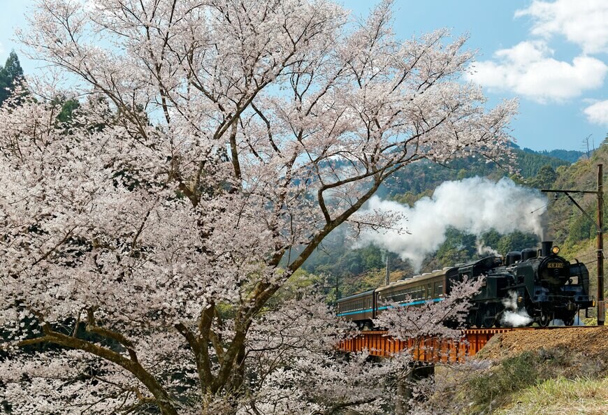 静岡県の大井川鐵道