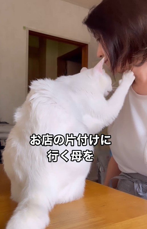 全力で引き留める猫