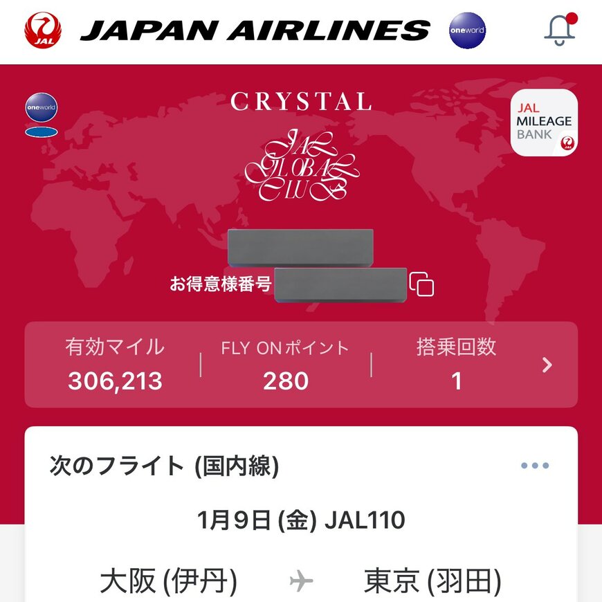 夢が膨らむマイル数