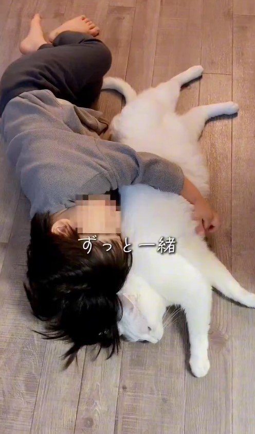 男の子と白猫