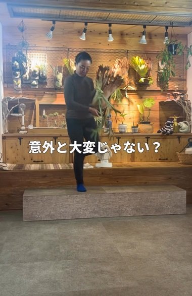 変身前の植物管理