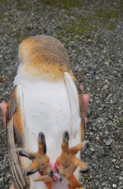 投稿動画のワンシーン