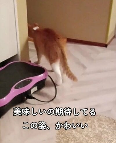 待ちきれなかった？部屋を出て行ってしまう