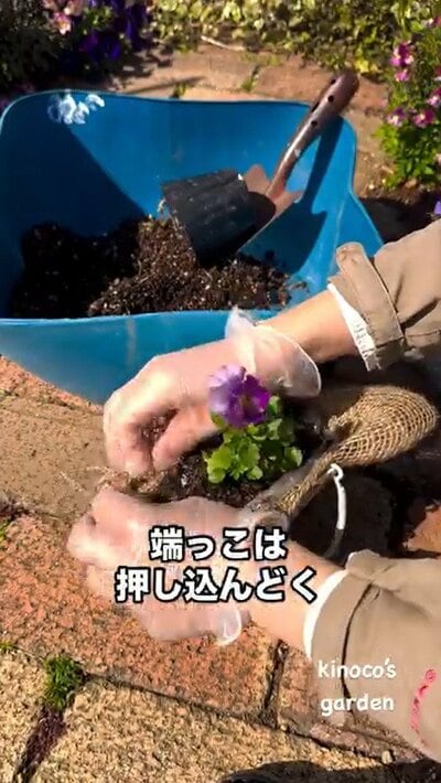 きの子（@miekinoco）さん投稿動画のキャプチャ