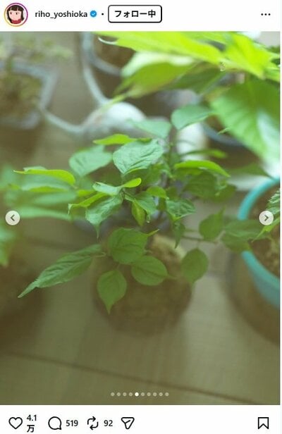 吉岡里帆のInstagram投稿