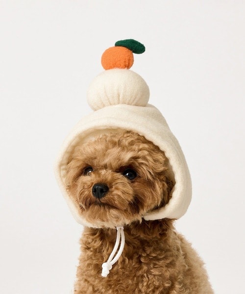 ペット用鏡餅のかぶりもの/お正月