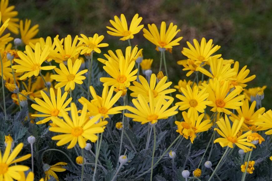 Khairil Azhar Junos/shutterstock.com