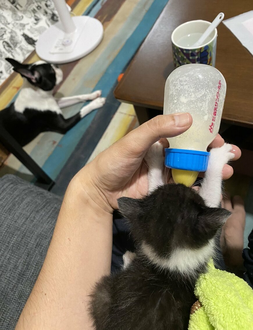 出所：@00shitemita