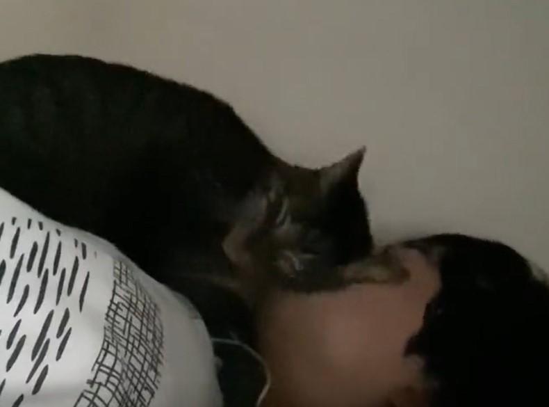 出所：@00shitemita