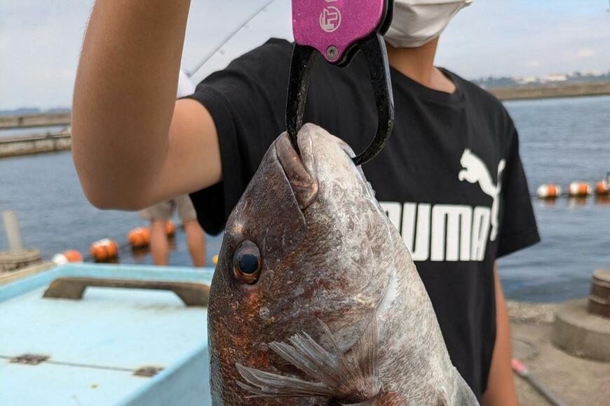 中1息子が釣り上げたのは……ビッグで豪華すぎる〈想定外な釣果〉に思わず「おめでタイ」の声