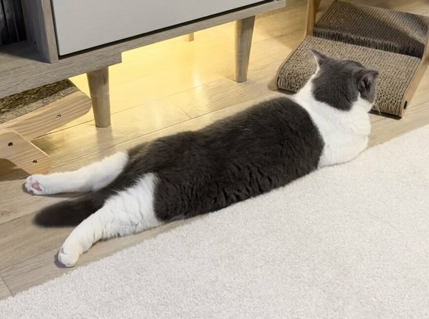 出所：@omochiomoching