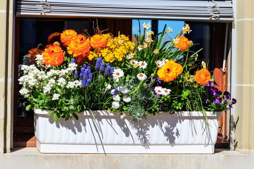 Olha Solodenko/shutterstock.com