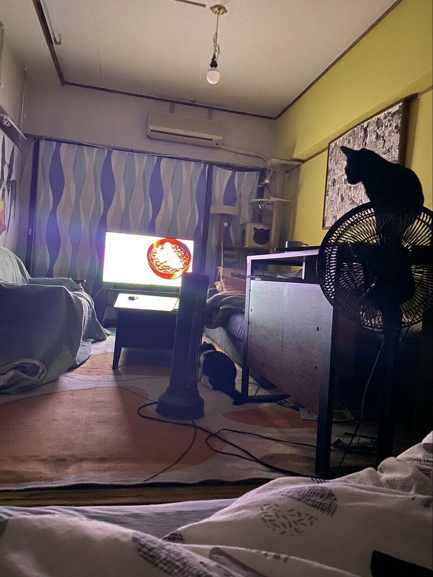 出所：@00shitemita