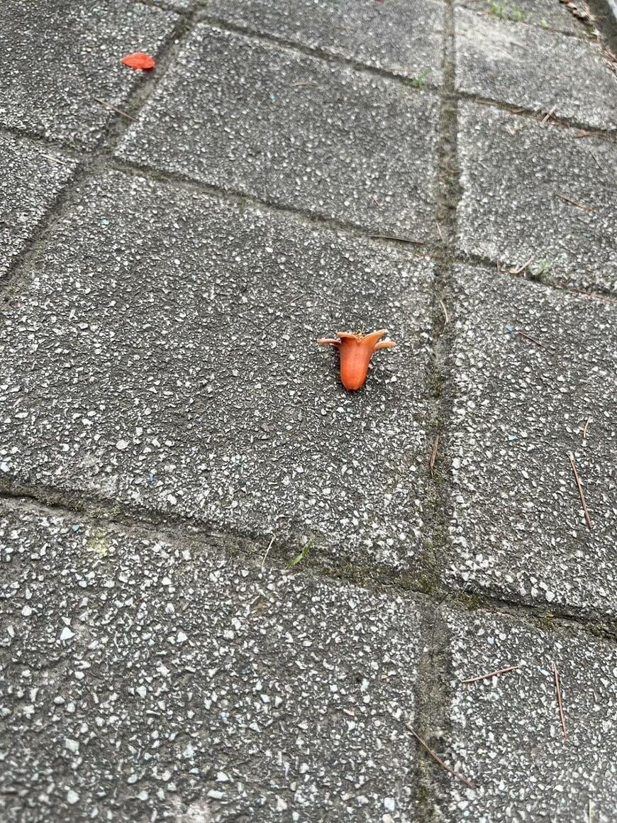 出所：@TweetingKacy