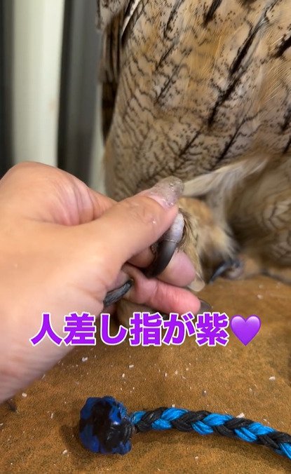 出所：＠yukkodawa