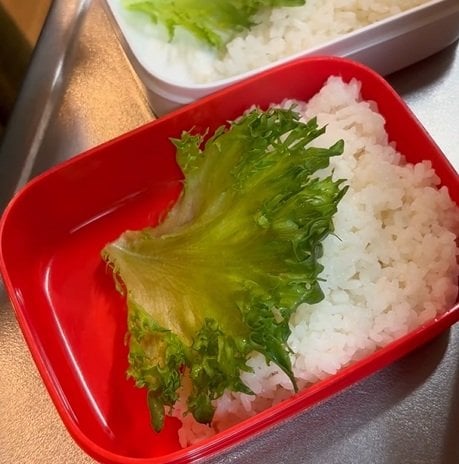 お弁当の「レタス」をカップ代わりに活用する盛り付け術。おかずの下敷きにせず端を丸めて詰めるだけで、見た目がおしゃれな具沢山弁当になるマネしたいアイデア