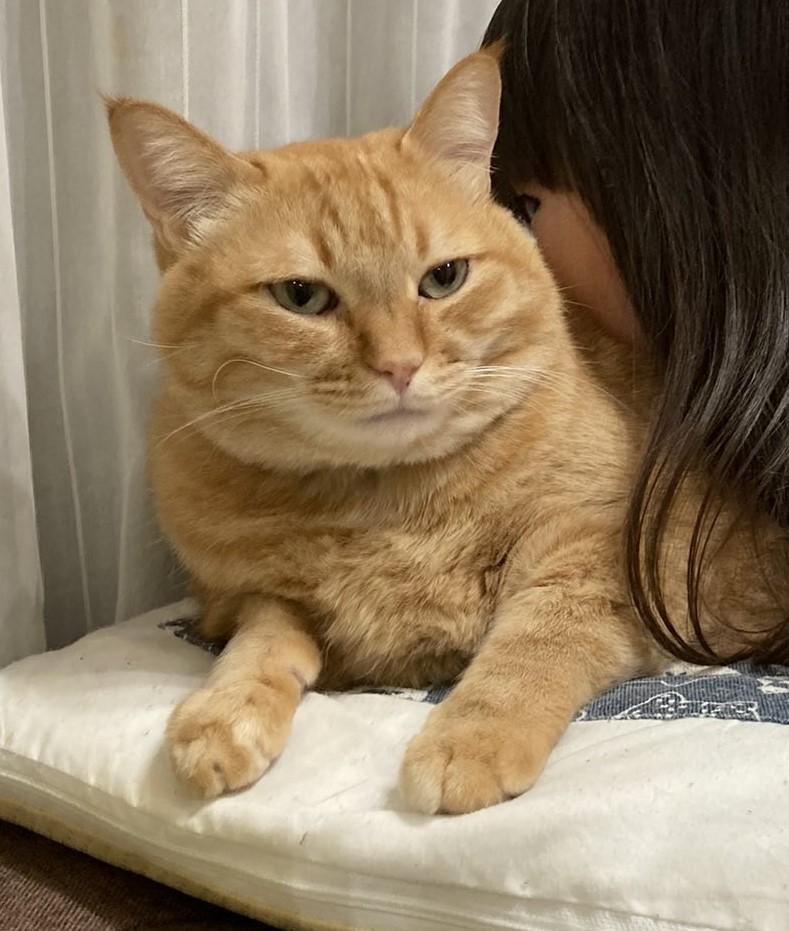 出所：@kagisuzu0531