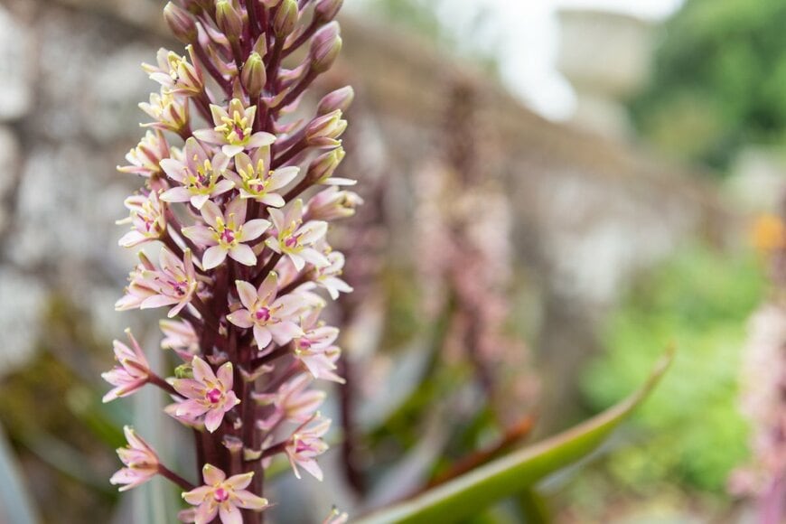 Tom Meaker/shutterstock.com