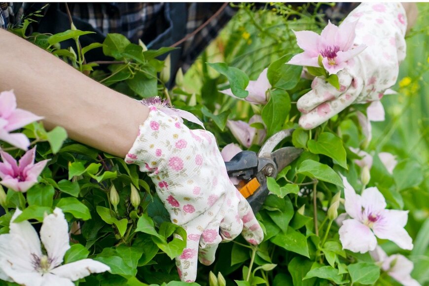 Zhanna Danilova/istockphoto.com