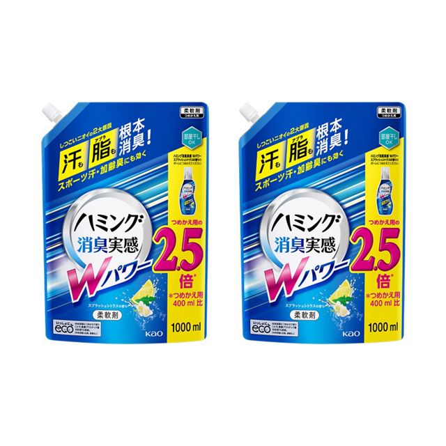 画像出所：花王公式通販【My Kao Mall】