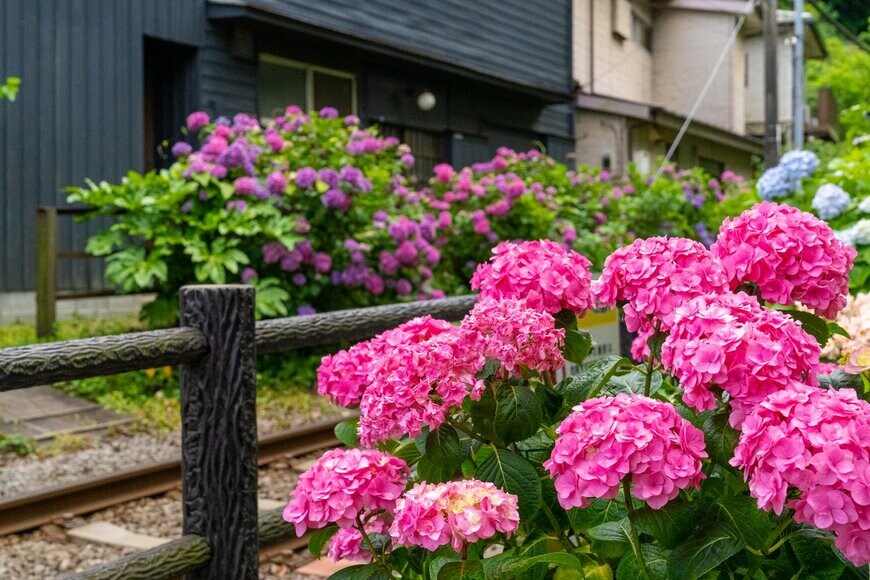 Xinghua Zhu/istockphoto.com